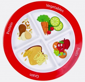 Super Healthy Kids MyPlate Review – Juggling Real Food and Real Life
