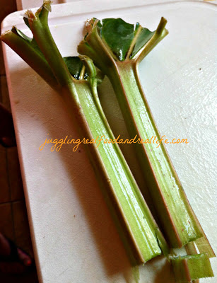 Baked Rhubarb Compote Reminds Me of Grandma’s Pies – Juggling Real Food and Real Life