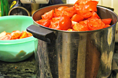 Tomatoes ready to be juiced