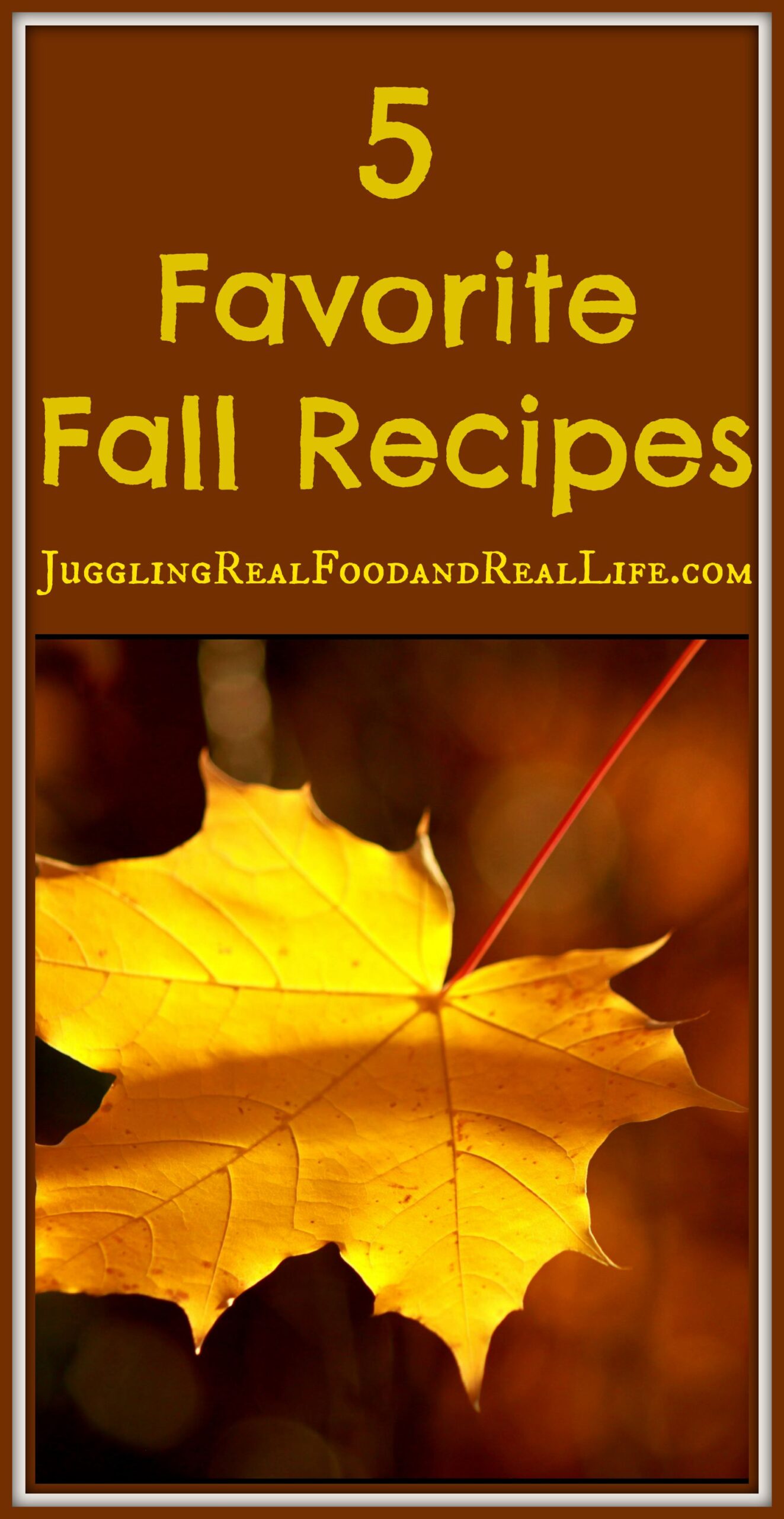 5 Favorite Fall Recipes + 1 Bonus Recipe