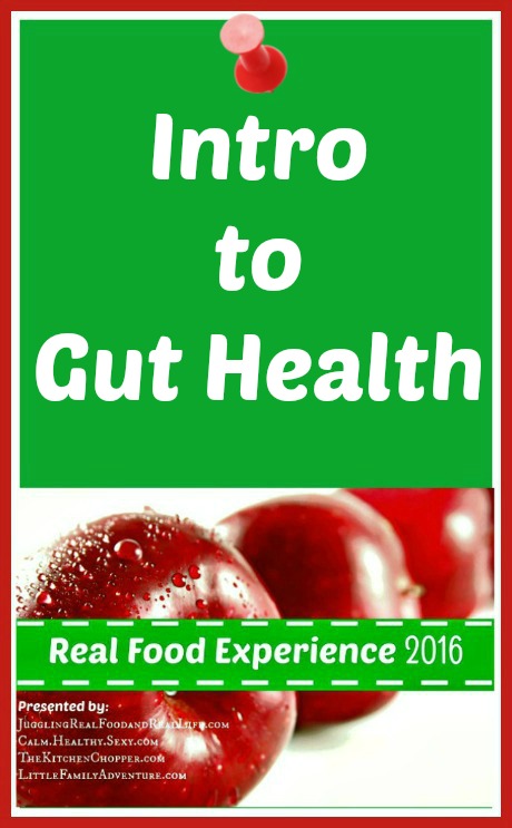Intro to Gut Health