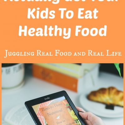 Zero To Hero Nutrition E-Book:  How To Actually Get Your Kids To Eat Healthy Food